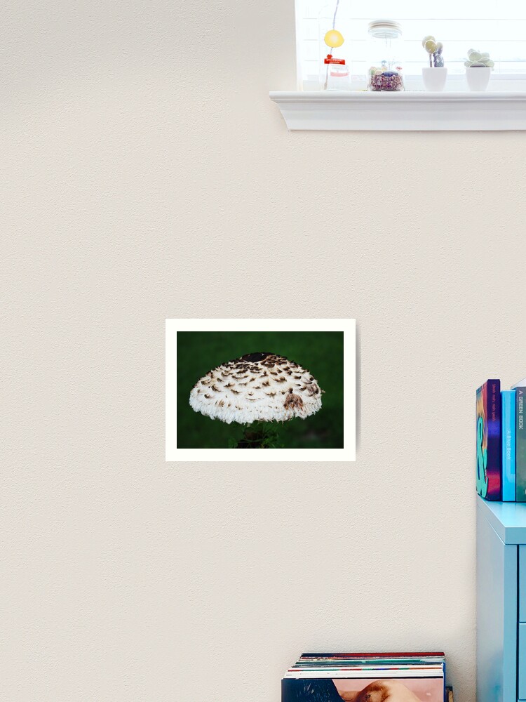 Thumbnail 2 of 3, Art Print, Overhead designed and sold by robmac.
