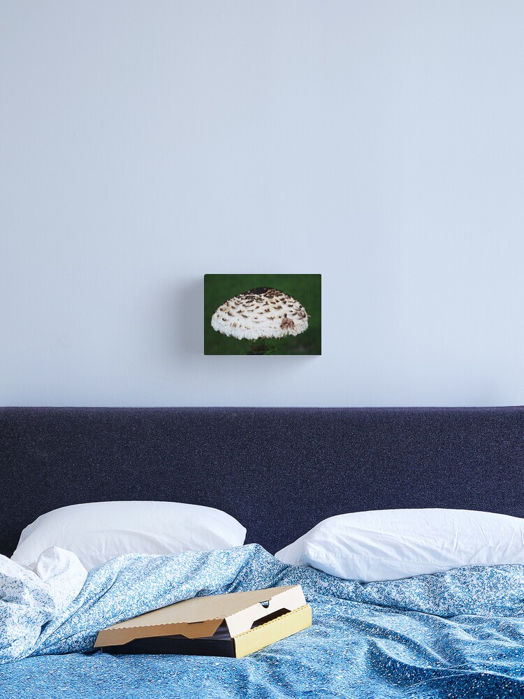 Thumbnail 2 of 3, Canvas Print, Overhead designed and sold by robmac.