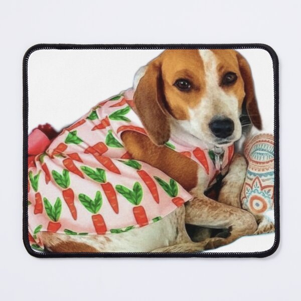 Item preview, Support a beagle- Chloe designed and sold by UVResin1995.