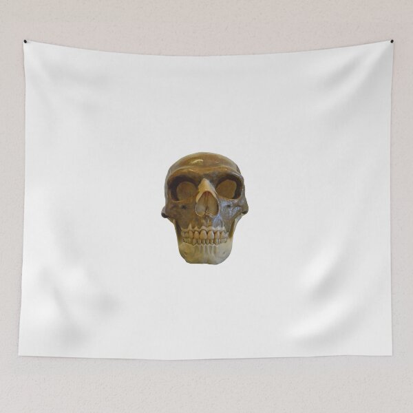 Item preview, Neanderthal Skull designed and sold by neil harrison.