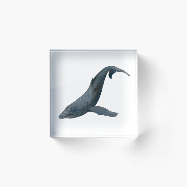 Blue Whale Acrylic Block