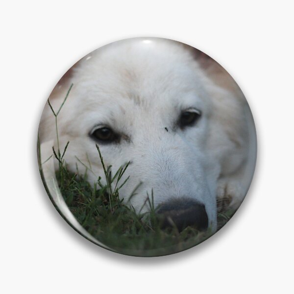 Item preview, The Sleepy Swiss Shepherd designed and sold by AutumnBreezeArt.
