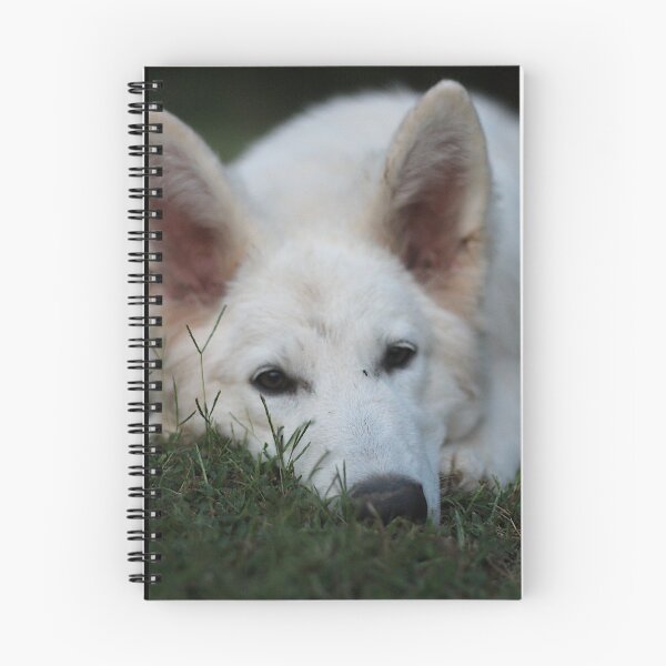 Item preview, The Sleepy Swiss Shepherd designed and sold by AutumnBreezeArt.