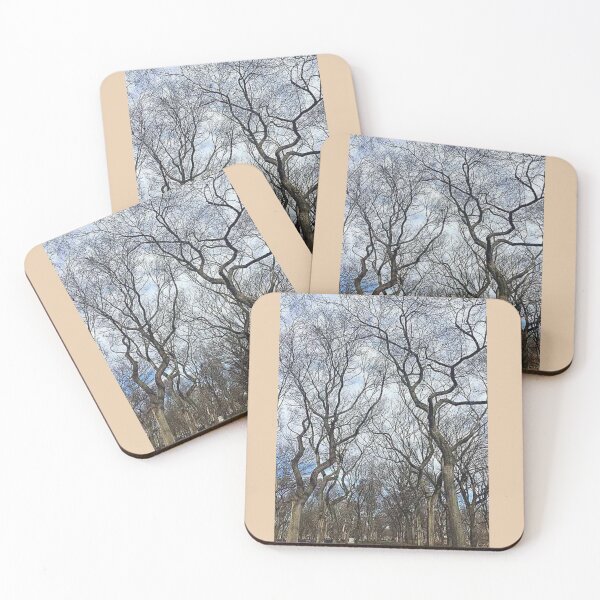 Item preview, Central Park Winter Trees NYC Photo Stickers Prints Posters Wall Art Magnet Home Coffee Cup Decoration TShirt Stationary Notebook Magnet Hat Kitchen Work School Office Redbubble Shop designed and sold by Saritas Boutique Shop.
