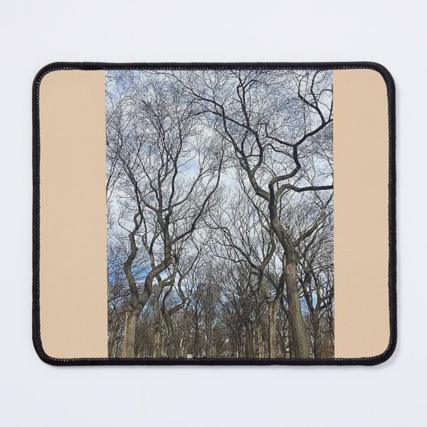 Item preview, Central Park Winter Trees NYC Photo Stickers Prints Posters Wall Art Magnet Home Coffee Cup Decoration TShirt Stationary Notebook Magnet Hat Kitchen Work School Office Redbubble Shop designed and sold by Saritas Boutique Shop.