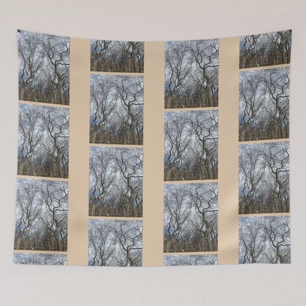 Item preview, Central Park Winter Trees NYC Photo Stickers Prints Posters Wall Art Magnet Home Coffee Cup Decoration TShirt Stationary Notebook Magnet Hat Kitchen Work School Office Redbubble Shop designed and sold by Saritas Boutique Shop.