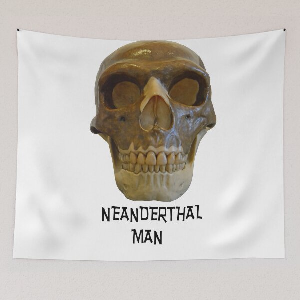 Item preview, Neanderthal Skull designed and sold by neil harrison.