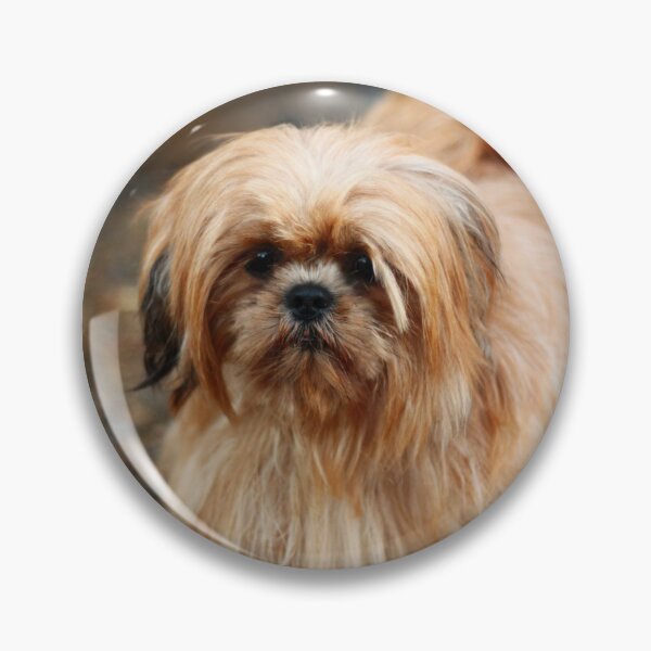 Item preview, Elliot The Red Shih Tzu designed and sold by AutumnBreezeArt.