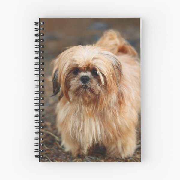 Item preview, Elliot The Red Shih Tzu designed and sold by AutumnBreezeArt.