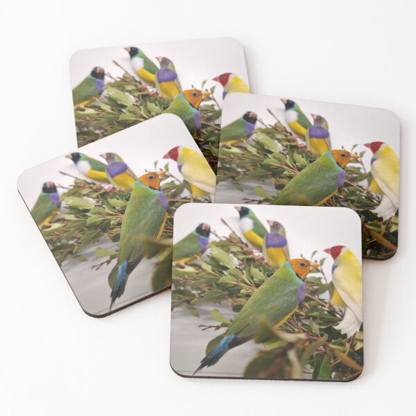 Item preview, Beautiful Gouldian Finches designed and sold by Gouldian Care.