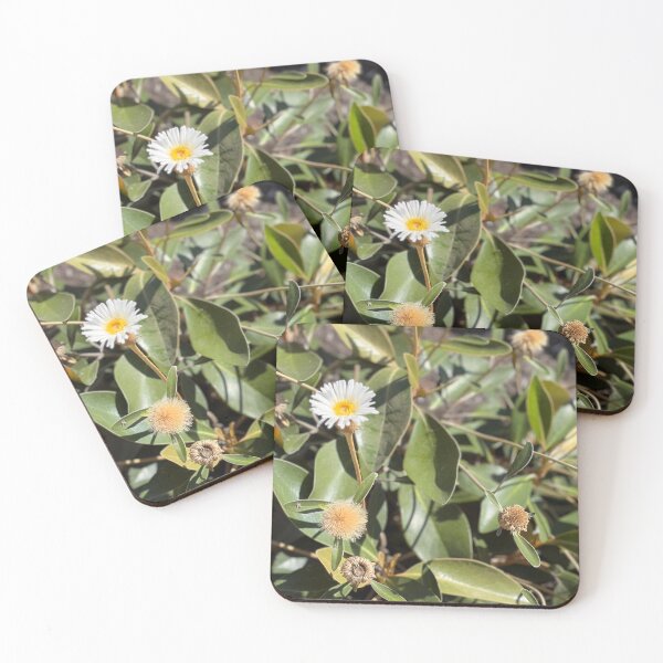 Item preview, daisy surrounded by Aussie bush designed and sold by marbellousart.