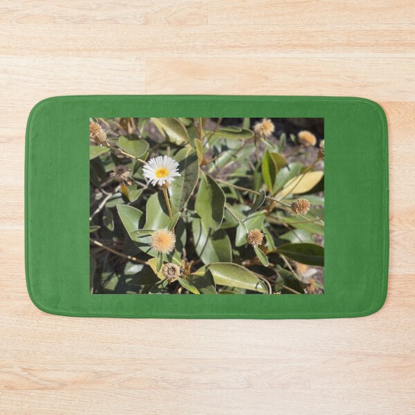 Item preview, daisy surrounded by Aussie bush designed and sold by marbellousart.