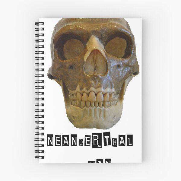 Item preview, Neanderthal Skull designed and sold by neil harrison.