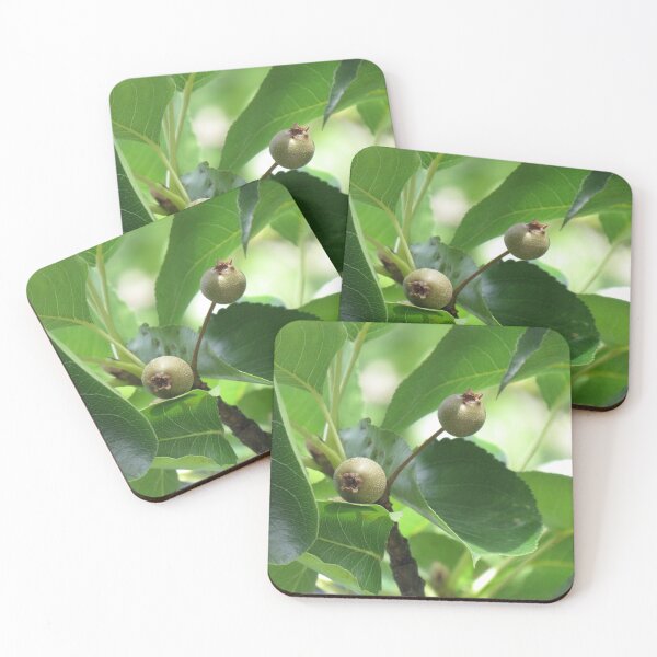 Item preview, Manchurian pear fruit designed and sold by greentiger1.