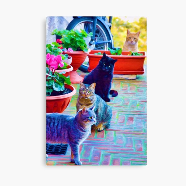 Usual Suspects Canvas Print