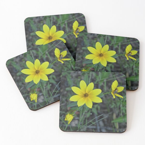 Item preview, Bright Yellow Tickseed Sunflower Photography designed and sold by Blossom-Breeze.