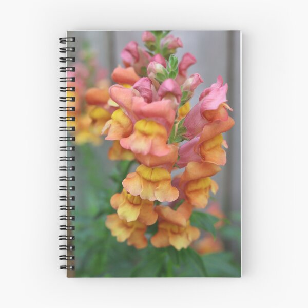 Item preview, snapdragon designed and sold by KimhengFineArt.