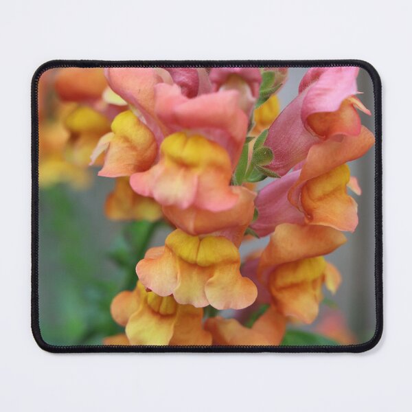 Item preview, snapdragon designed and sold by KimhengFineArt.