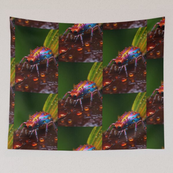 Item preview, Iridescent Spider: Jewel of the Rainforests designed and sold by Hipatye26.