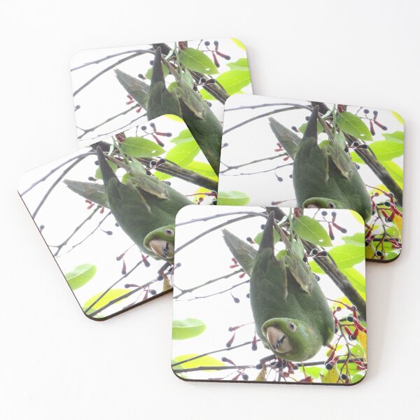 Item preview, Brazil Core Wildlife Park Perequite from Brazil Nature Birdwatch designed and sold by helderpoeta.