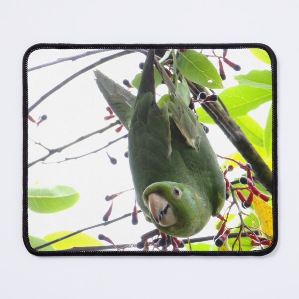 Item preview, Brazil Core Wildlife Park Perequite from Brazil Nature Birdwatch designed and sold by helderpoeta.