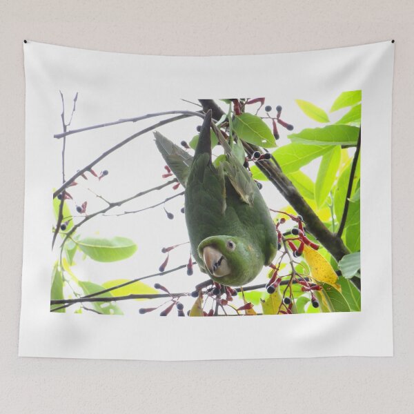 Item preview, Brazil Core Wildlife Park Perequite from Brazil Nature Birdwatch designed and sold by helderpoeta.