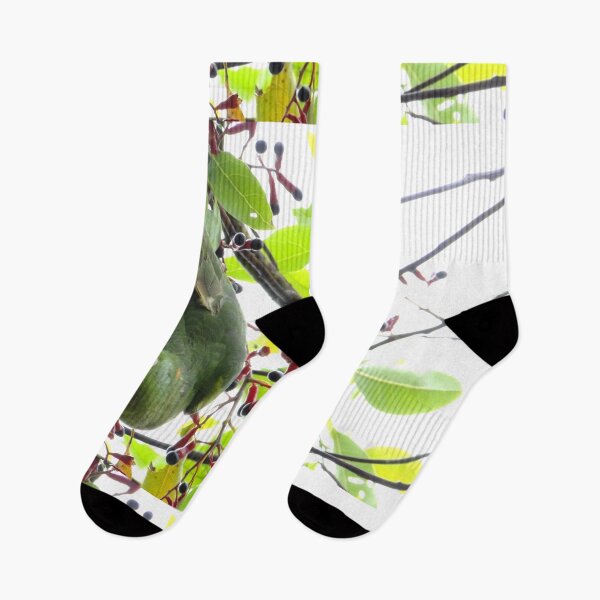Item preview, Brazil Core Wildlife Park Perequite from Brazil Nature Birdwatch designed and sold by helderpoeta.