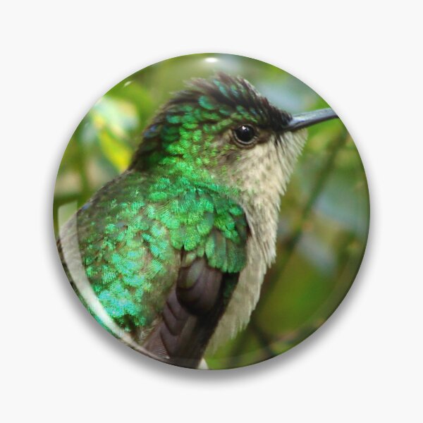 Item preview, Brazil Core Nature Birdwatch Humming Bird designed and sold by helderpoeta.