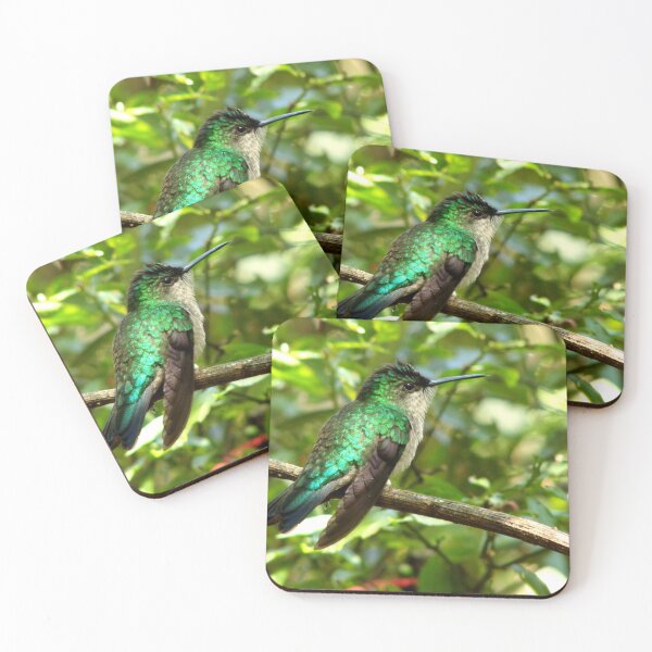 Item preview, Brazil Core Nature Birdwatch Humming Bird designed and sold by helderpoeta.