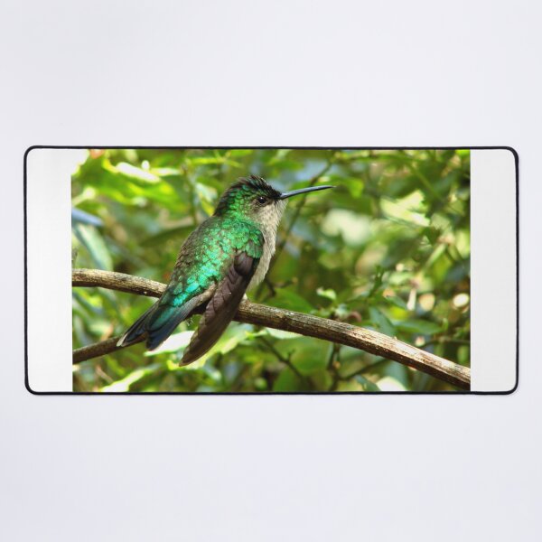 Item preview, Brazil Core Nature Birdwatch Humming Bird designed and sold by helderpoeta.