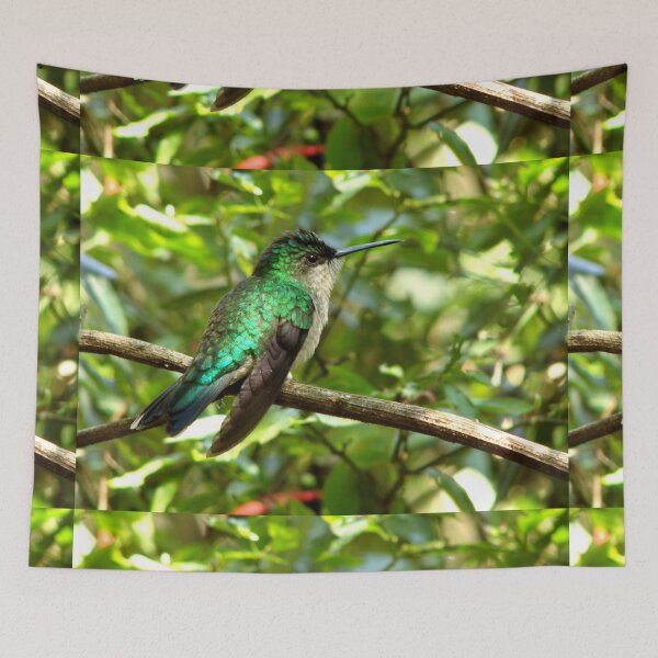 Item preview, Brazil Core Nature Birdwatch Humming Bird designed and sold by helderpoeta.