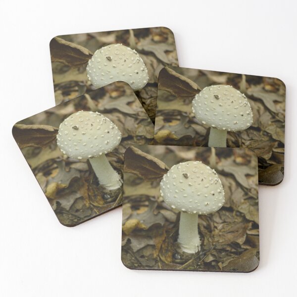 Item preview, White Amanita Mushroom on Forest Floor - Woodland Fungi Photography designed and sold by Blossom-Breeze.