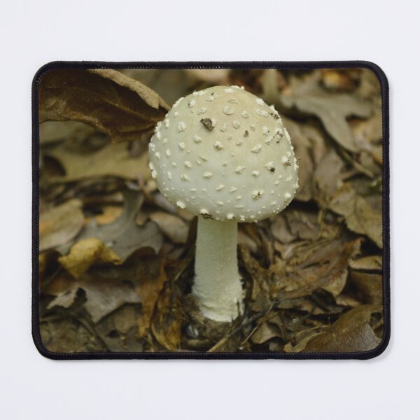 Item preview, White Amanita Mushroom on Forest Floor - Woodland Fungi Photography designed and sold by Blossom-Breeze.