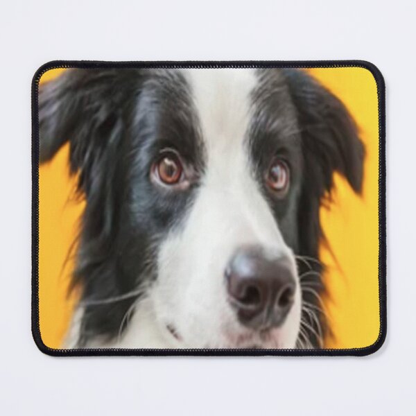 Item preview, Brazil Core Dog Shirt Fofinho Female Shirt Dog designed and sold by helderpoeta.