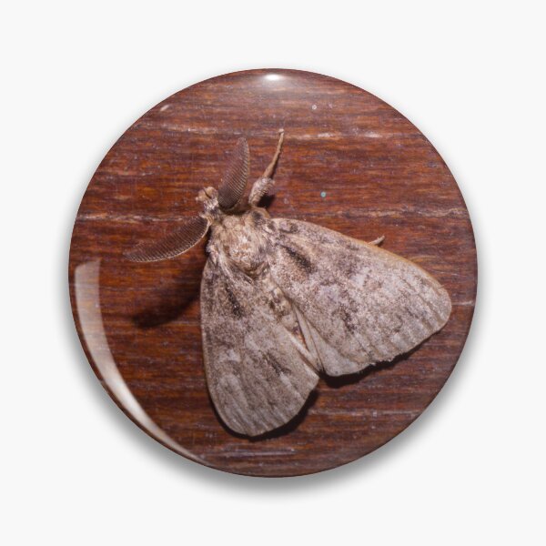 Item preview, tussock moth designed and sold by ROSE ANN BANILAR.