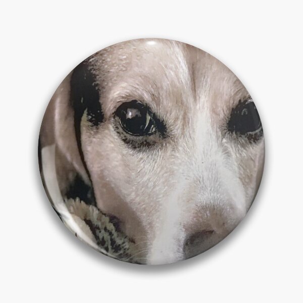 Item preview, Support a beagle-Guinness  designed and sold by UVResin1995.