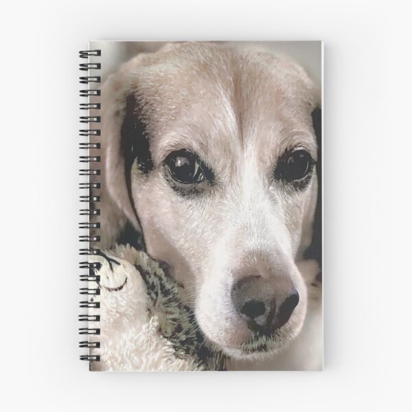 Item preview, Support a beagle-Guinness  designed and sold by UVResin1995.