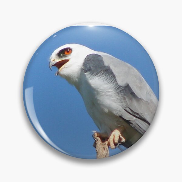 Item preview, Brazil Core White Hawk Birdwatch Nature Birds Wildlife designed and sold by helderpoeta.