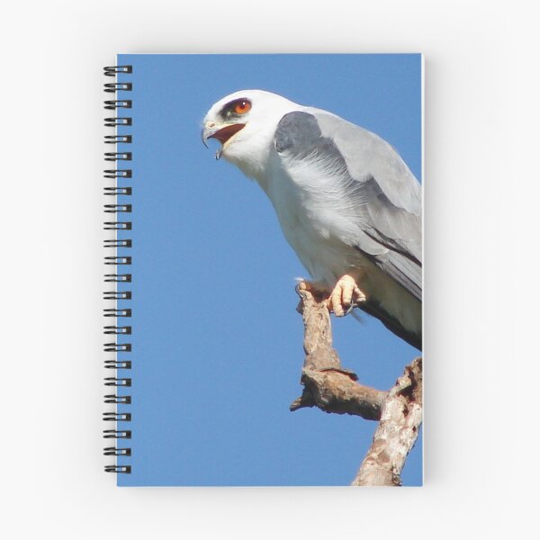 Item preview, Brazil Core White Hawk Birdwatch Nature Birds Wildlife designed and sold by helderpoeta.
