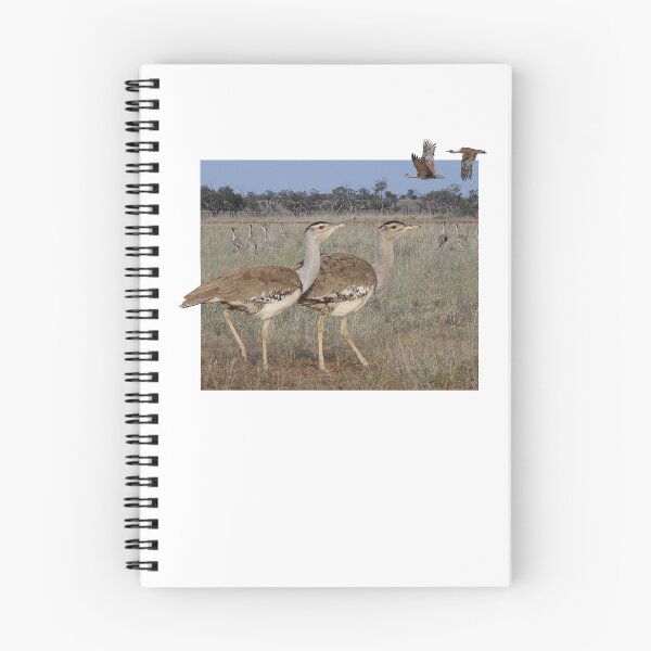Item preview, Australian Bustard designed and sold by ZoObsessed.