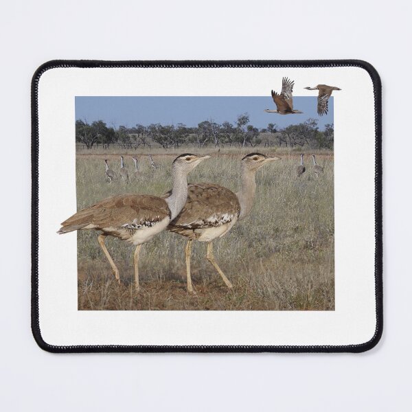 Item preview, Australian Bustard designed and sold by ZoObsessed.