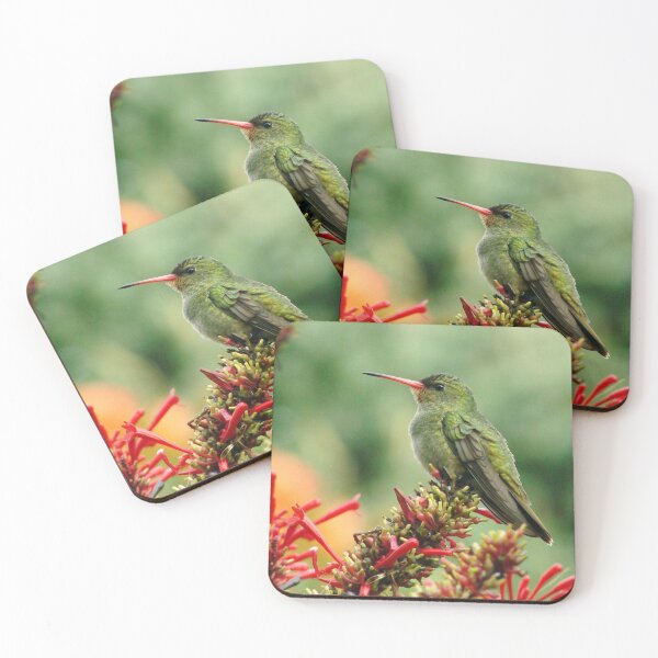 Item preview, Brazil Core Nature Birdwatch Golden Humming Bird British Birds designed and sold by helderpoeta.