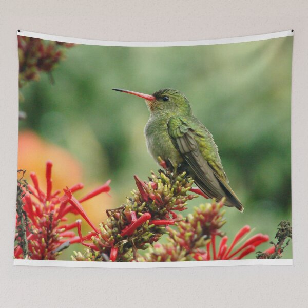 Item preview, Brazil Core Nature Birdwatch Golden Humming Bird British Birds designed and sold by helderpoeta.