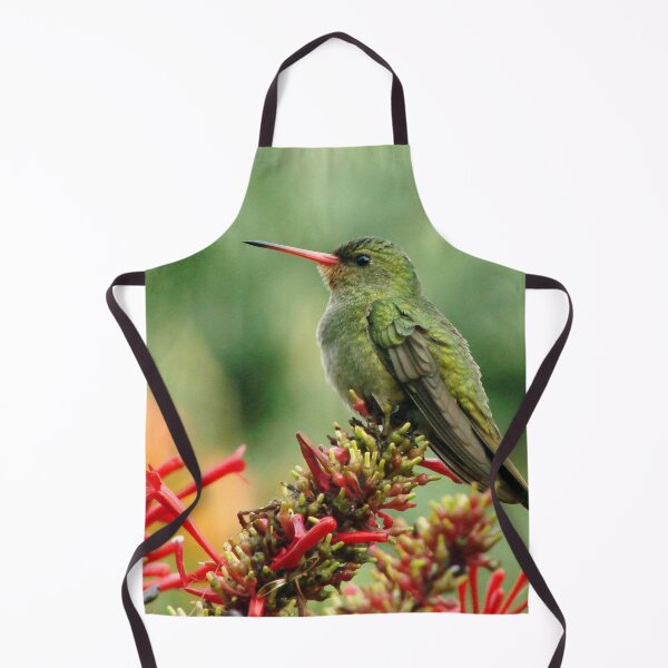 Item preview, Brazil Core Nature Birdwatch Golden Humming Bird British Birds designed and sold by helderpoeta.
