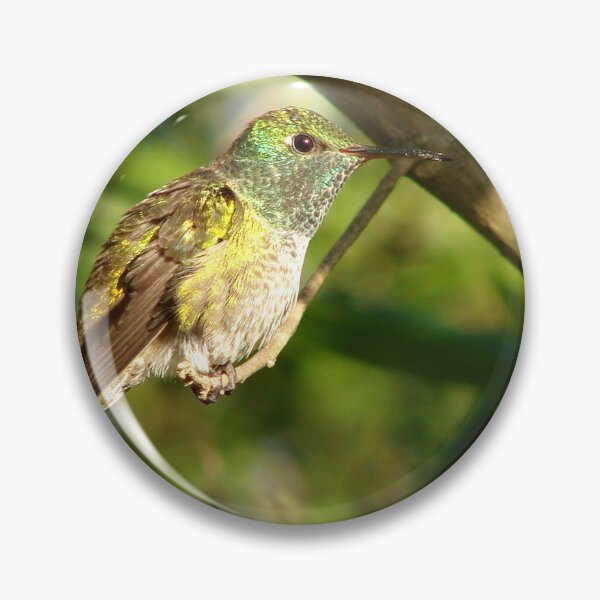 Item preview, Brazil Core Wildlife Humming Bird of White Brand Birdwatch Nature designed and sold by helderpoeta.
