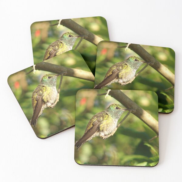 Item preview, Brazil Core Wildlife Humming Bird of White Brand Birdwatch Nature designed and sold by helderpoeta.