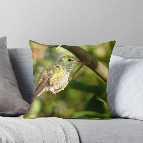 Item preview, Brazil Core Wildlife Humming Bird of White Brand Birdwatch Nature designed and sold by helderpoeta.