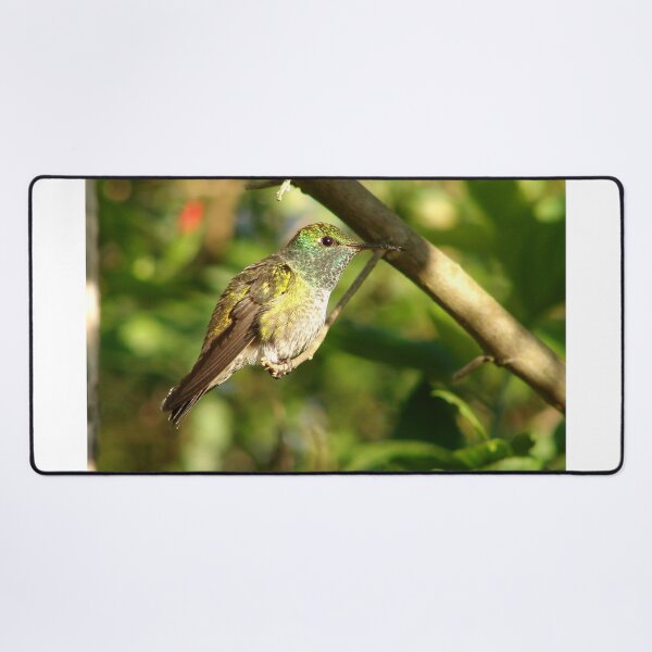 Item preview, Brazil Core Wildlife Humming Bird of White Brand Birdwatch Nature designed and sold by helderpoeta.