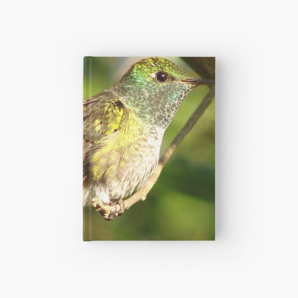 Item preview, Brazil Core Wildlife Humming Bird of White Brand Birdwatch Nature designed and sold by helderpoeta.