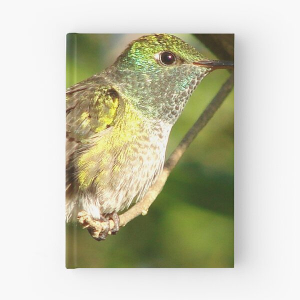 Item preview, Brazil Core Wildlife Humming Bird of White Brand Birdwatch Nature designed and sold by helderpoeta.